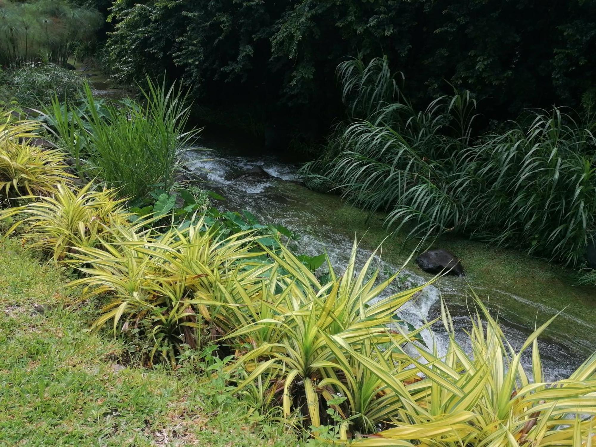 Le Domaine De Jade Vila Riviere du Mat-les Hauts Exterior foto